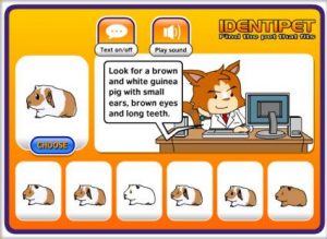 identipet-screen-shot