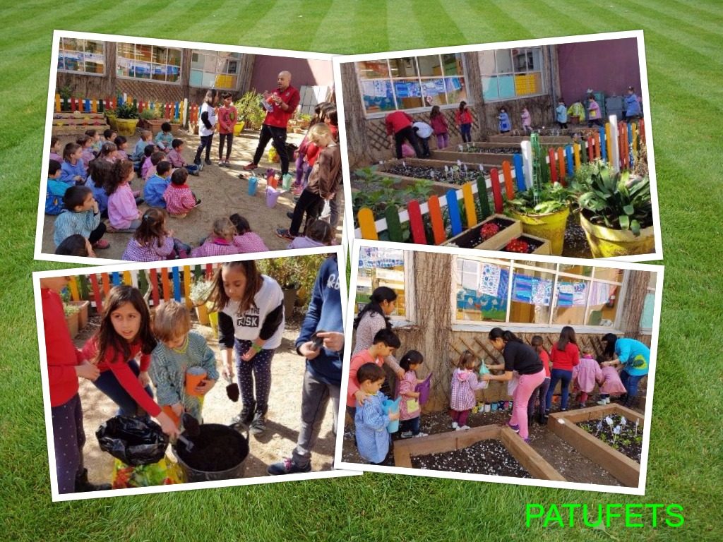 collage-2017-03-08-1