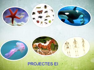 collage-2017-04-20 (1)