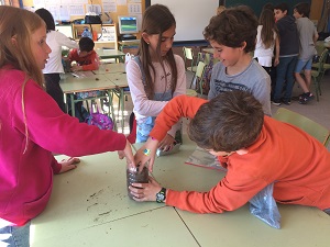 Inv Ec Experiment (12)