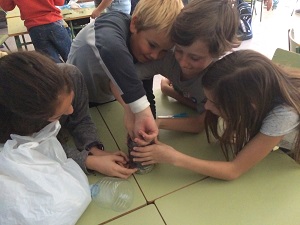 Inv Ec Experiment (9)