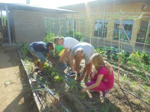 DSC01241.redimensionada