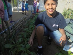 DSC01252.redimensionada