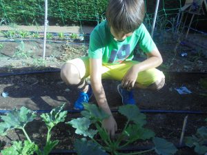 DSC01253.redimensionada