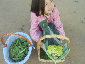 DSC01256.redimensionada