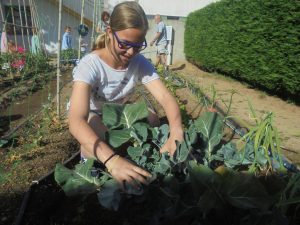 DSC01257.redimensionada