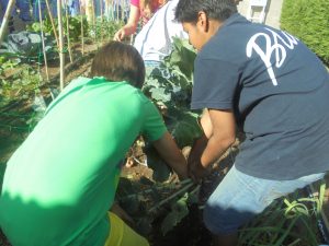 DSC01259.redimensionada