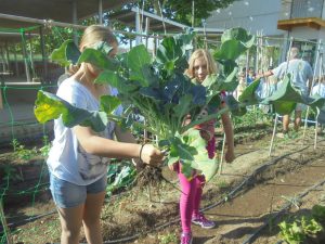 DSC01261.redimensionada