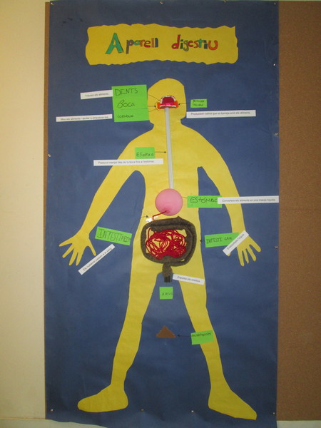 img_0525-girada-redimensionada