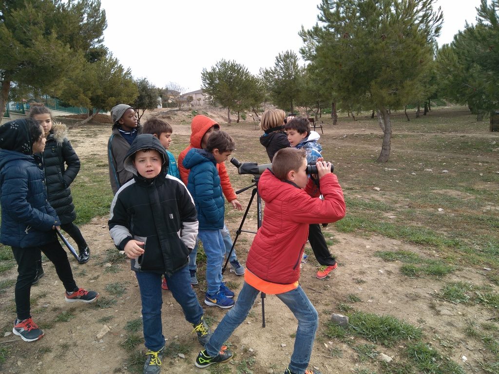 img_20170210_102921-redimensionada