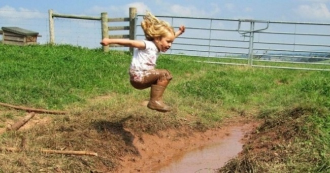 preview-716660-650x341-98-1484583094