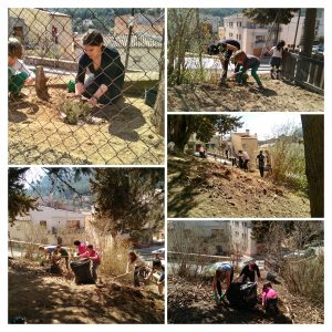 img_20170311_120035-collage