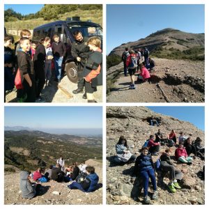 20170427_223449-COLLAGE