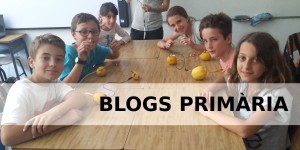 blogs_prim