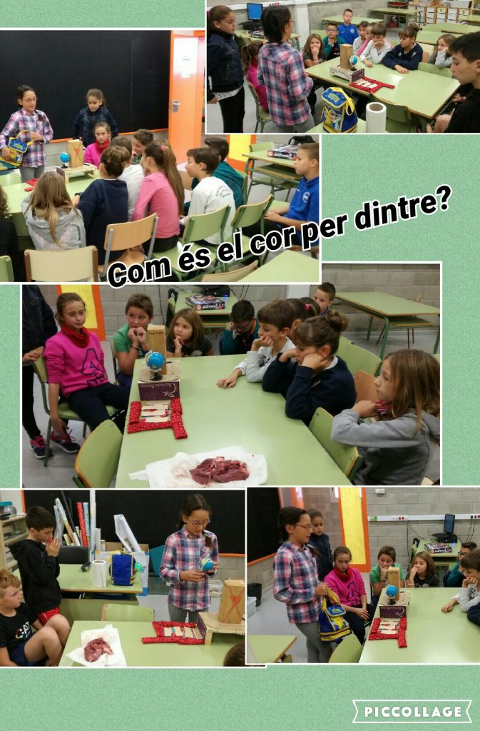 collage-2016-10-21-13_40_15