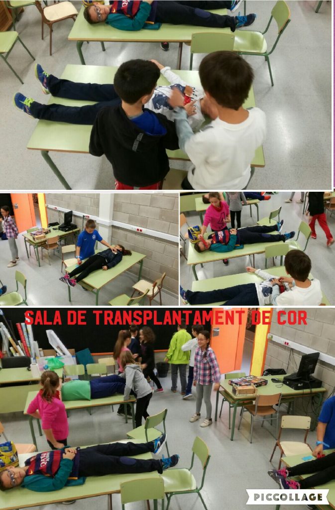 collage-2016-10-21-13_44_17