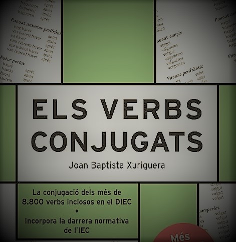 ELS VERBS CONJUGATS