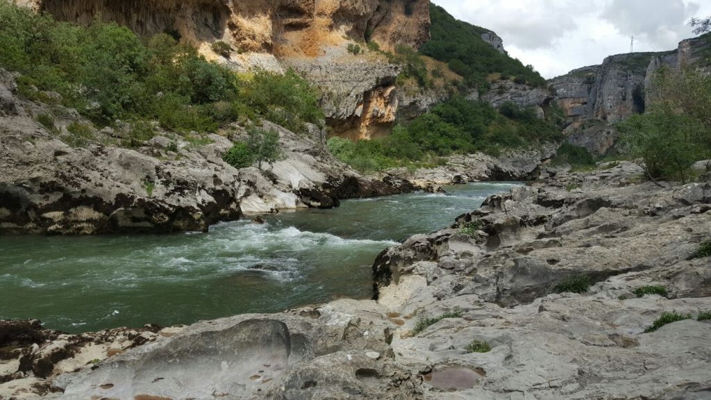 2017-05-30-PHOTO-00003784