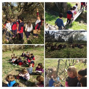 20170308_152111-collage