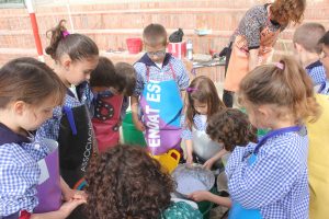 fem-paper-a-primer-031