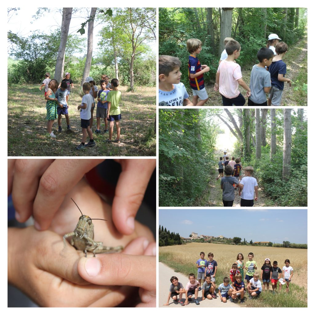 Els estanys del Far a 2n. 007-COLLAGE