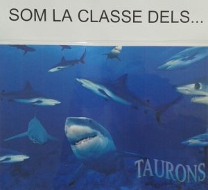 1r C: Els taurons