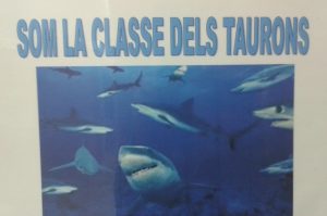 2n C: Els taurons