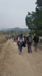 20161028_094023_resized