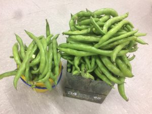 Clica sobre la imatge per veure més fotos