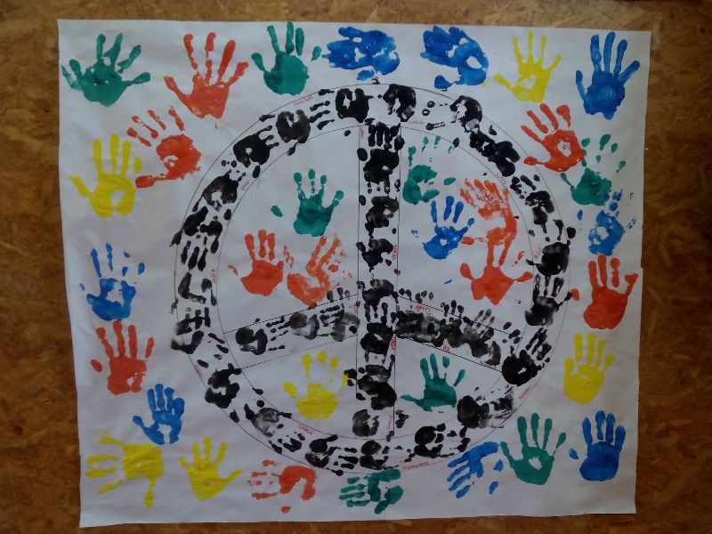 new_1_img_20170130_130826