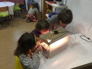 17499553_240022306466939_6247623634586784143_n