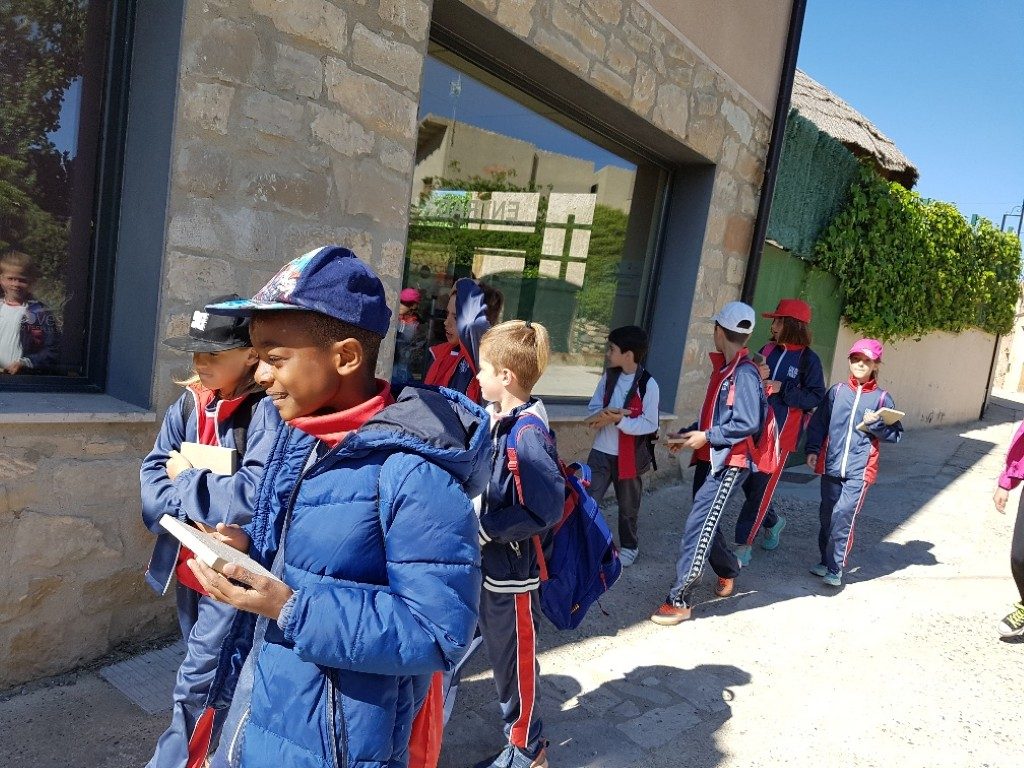 20170421_105259_resized (Medium)