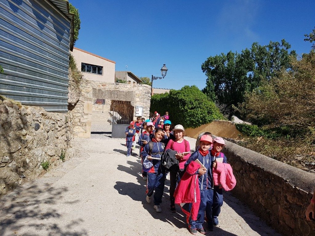 20170421_105319_resized (Medium)