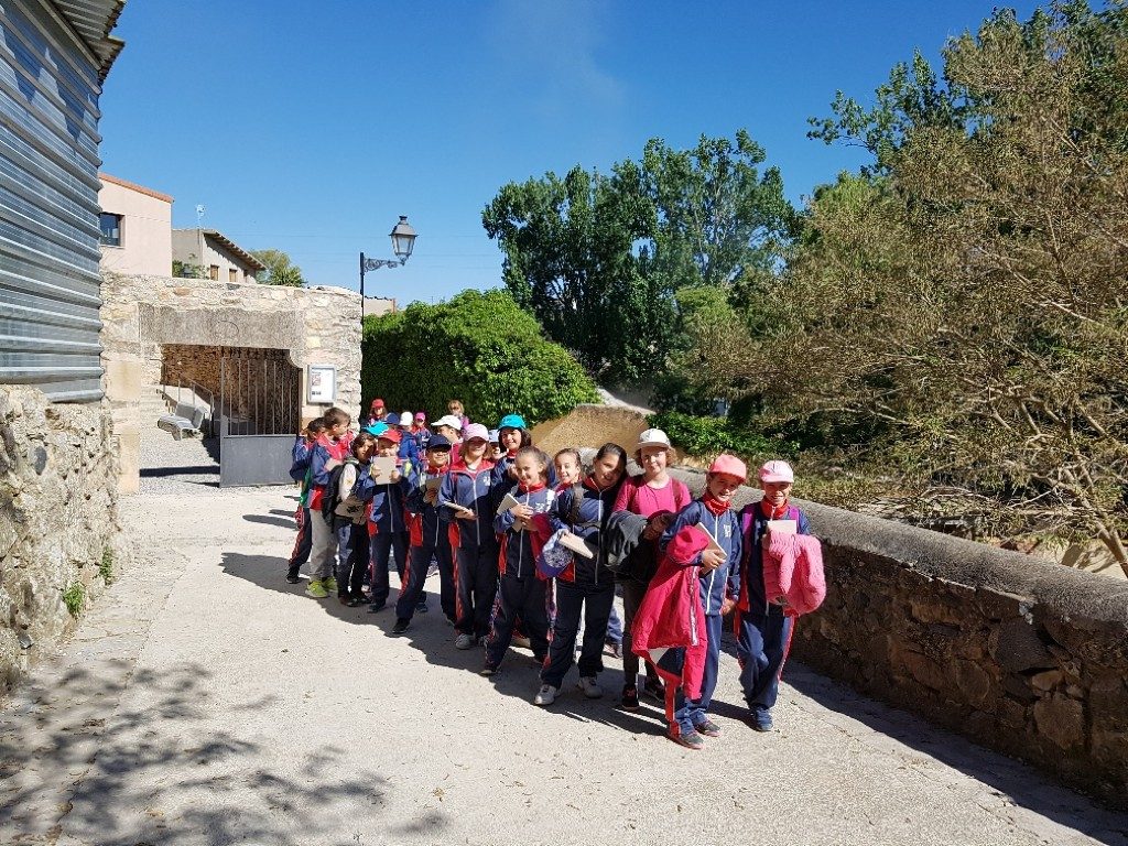 20170421_105325_resized (Medium)