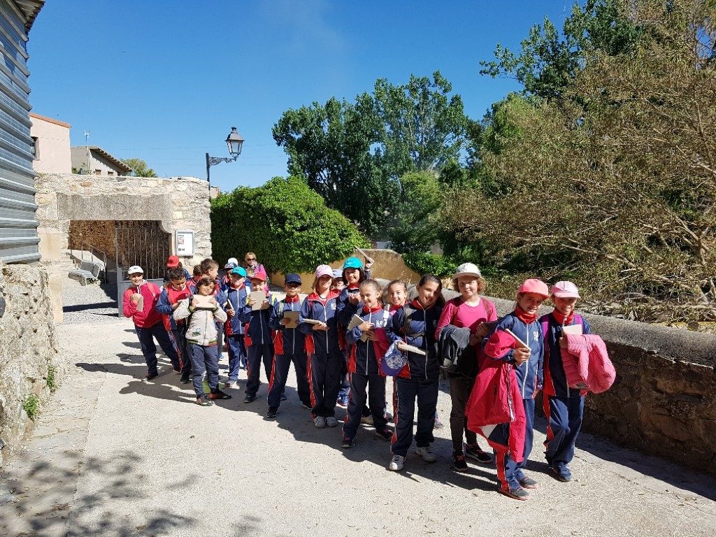 20170421_105328_resized (Medium)