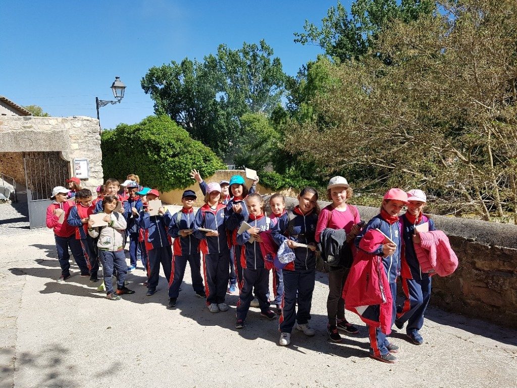 20170421_105331_resized (Medium)