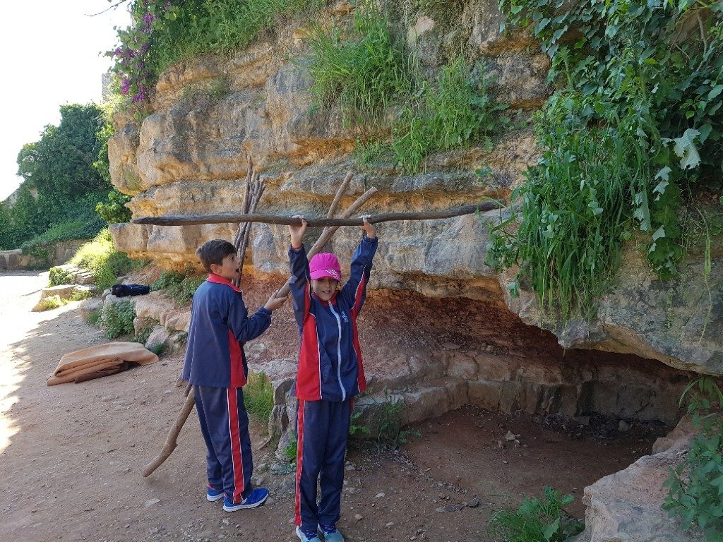 20170421_110238_resized (Medium)