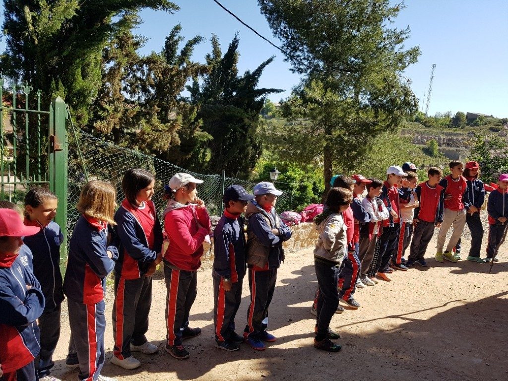 20170421_110400_resized (Medium)