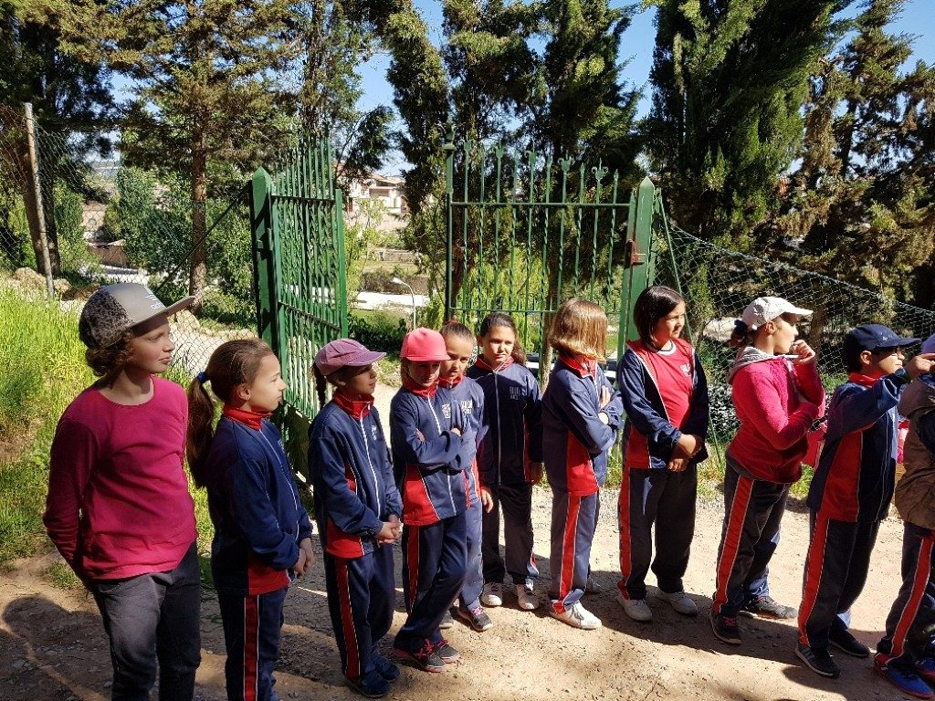 20170421_110404_resized (Medium)