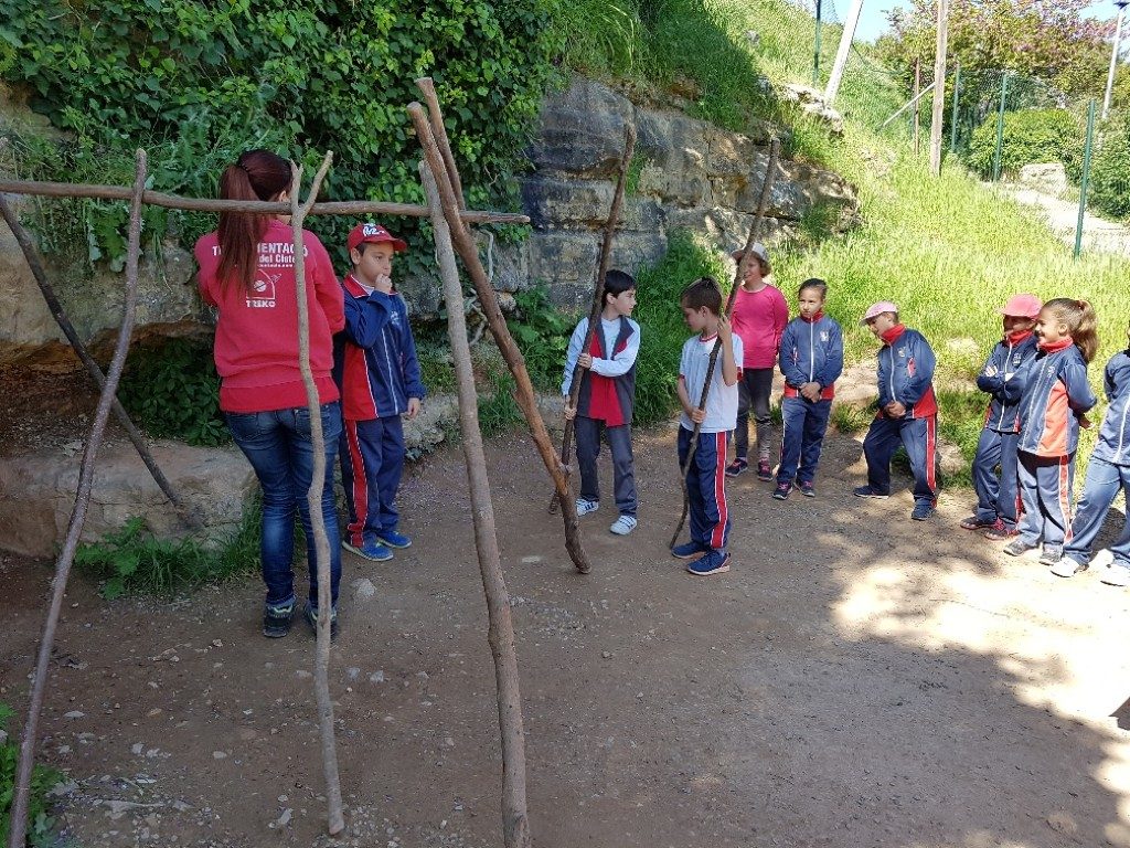 20170421_110530_resized (Medium)