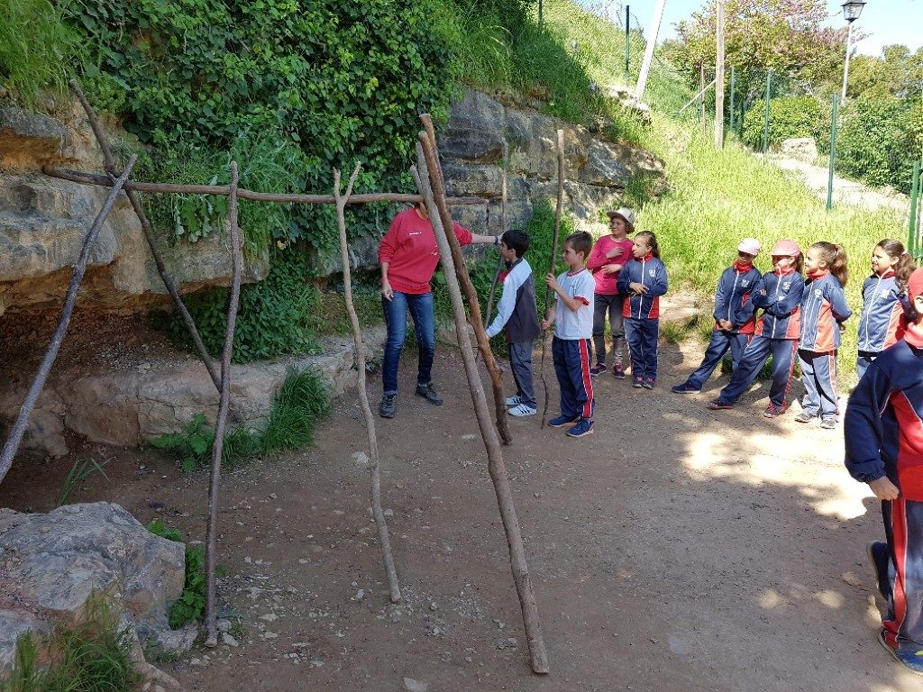 20170421_110538_resized (Medium)