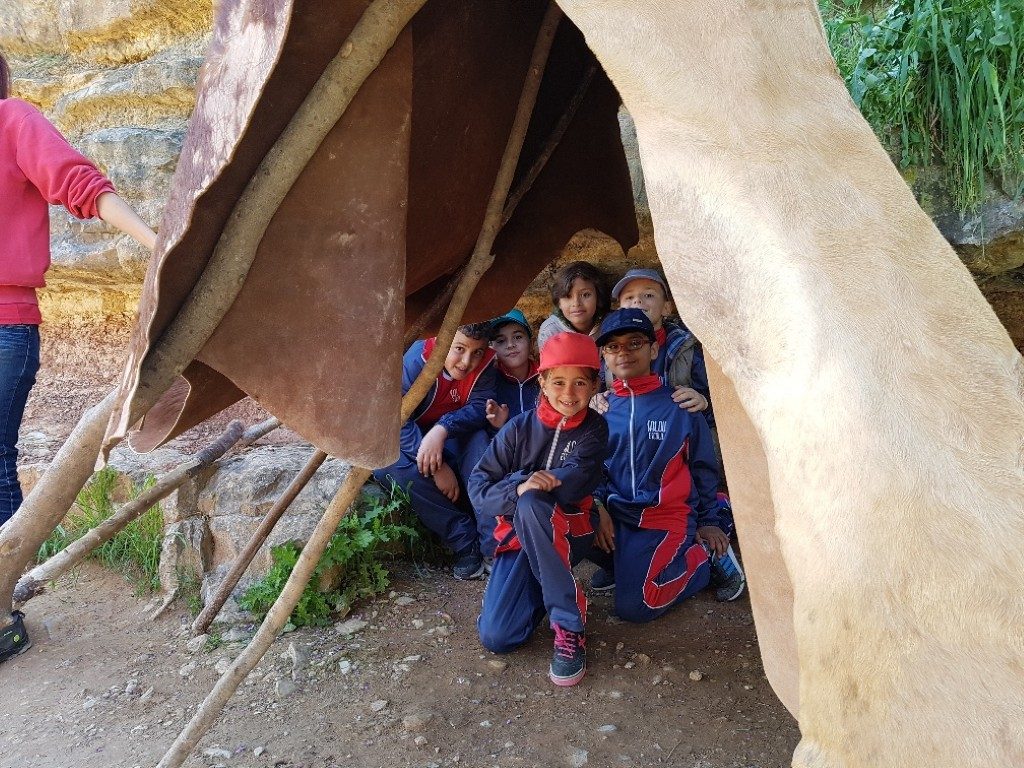 20170421_111541_resized (Medium)