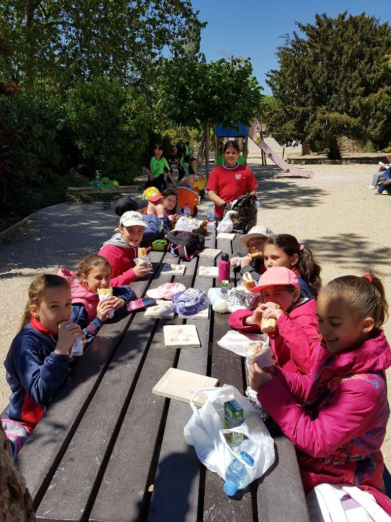 20170421_135304_resized (Medium)