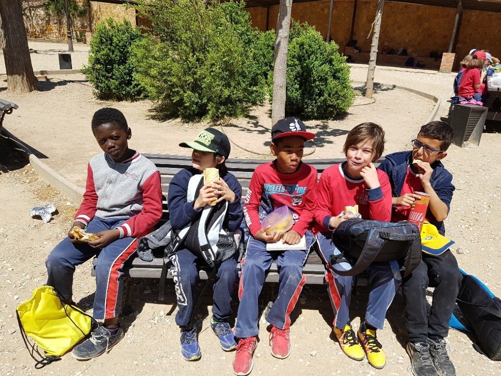 20170421_135316_resized (Medium)