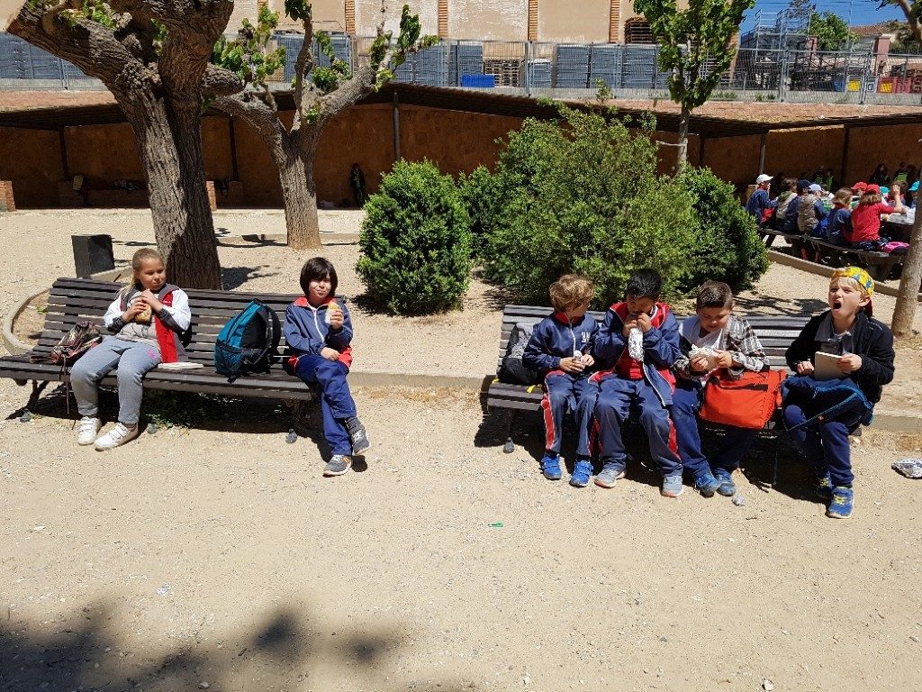 20170421_135331_resized (Medium)