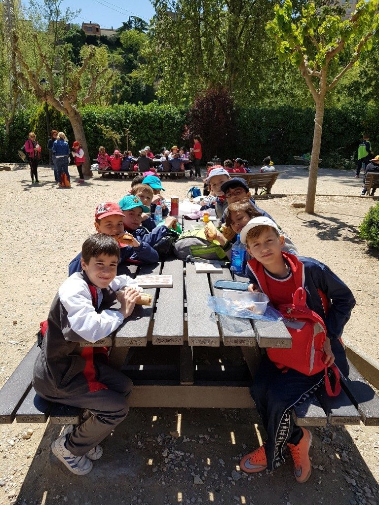 20170421_135420_resized (Medium)