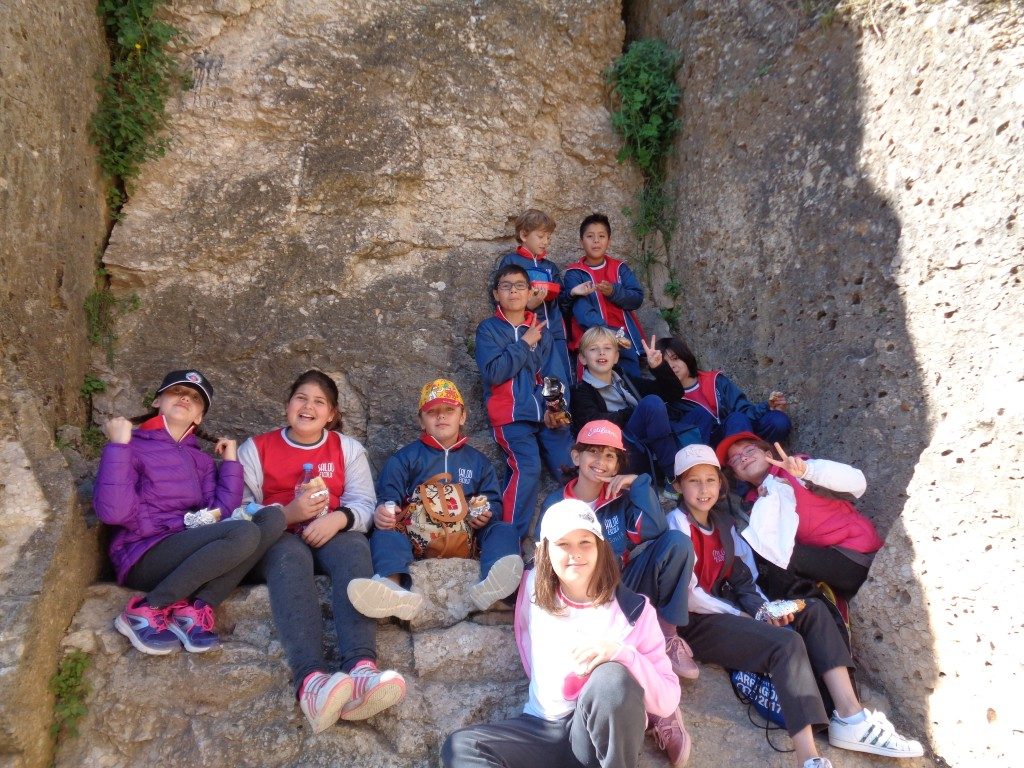 fotos 4rt 606 (Medium)