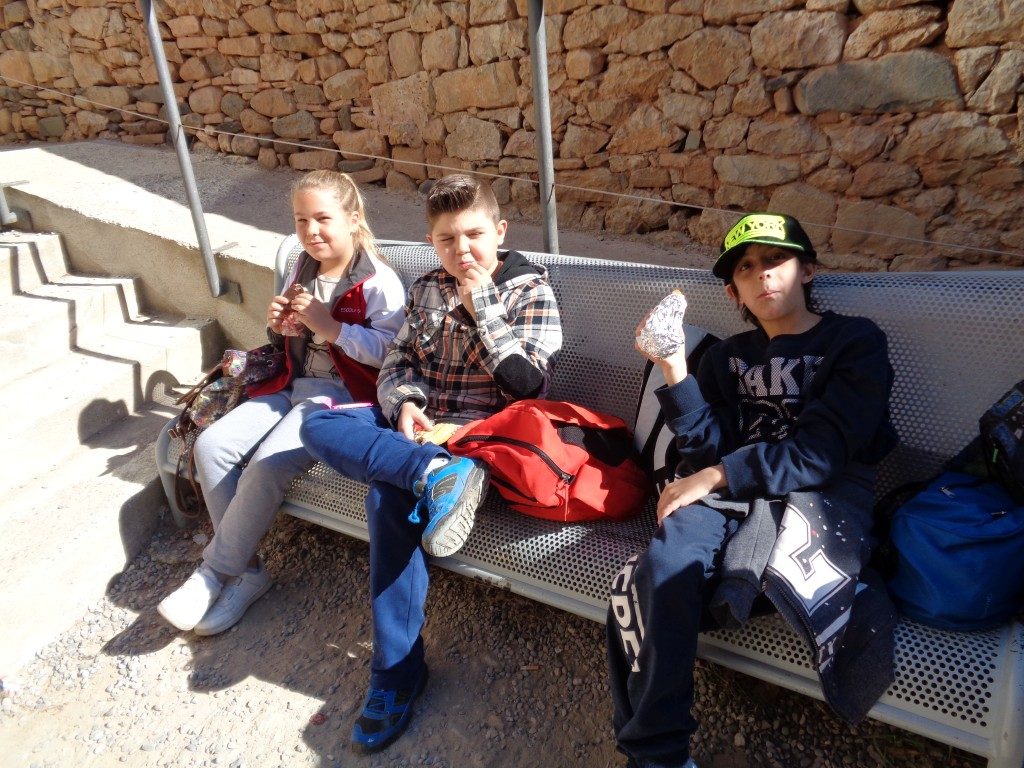 fotos 4rt 609 (Medium)