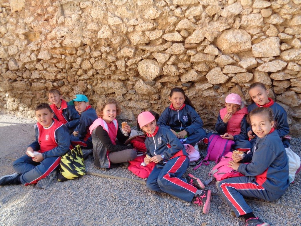 fotos 4rt 611 (Medium)