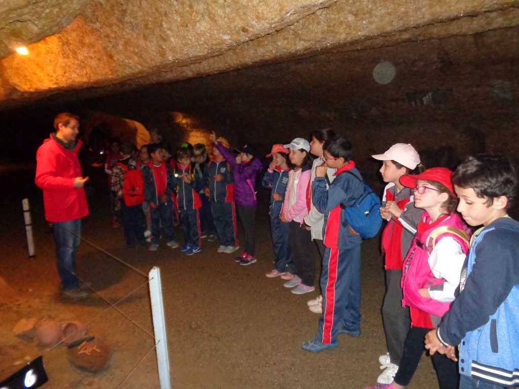 fotos 4rt 621 (Medium)